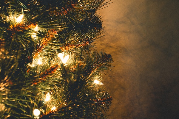 Opening Hours | Christmas 2025